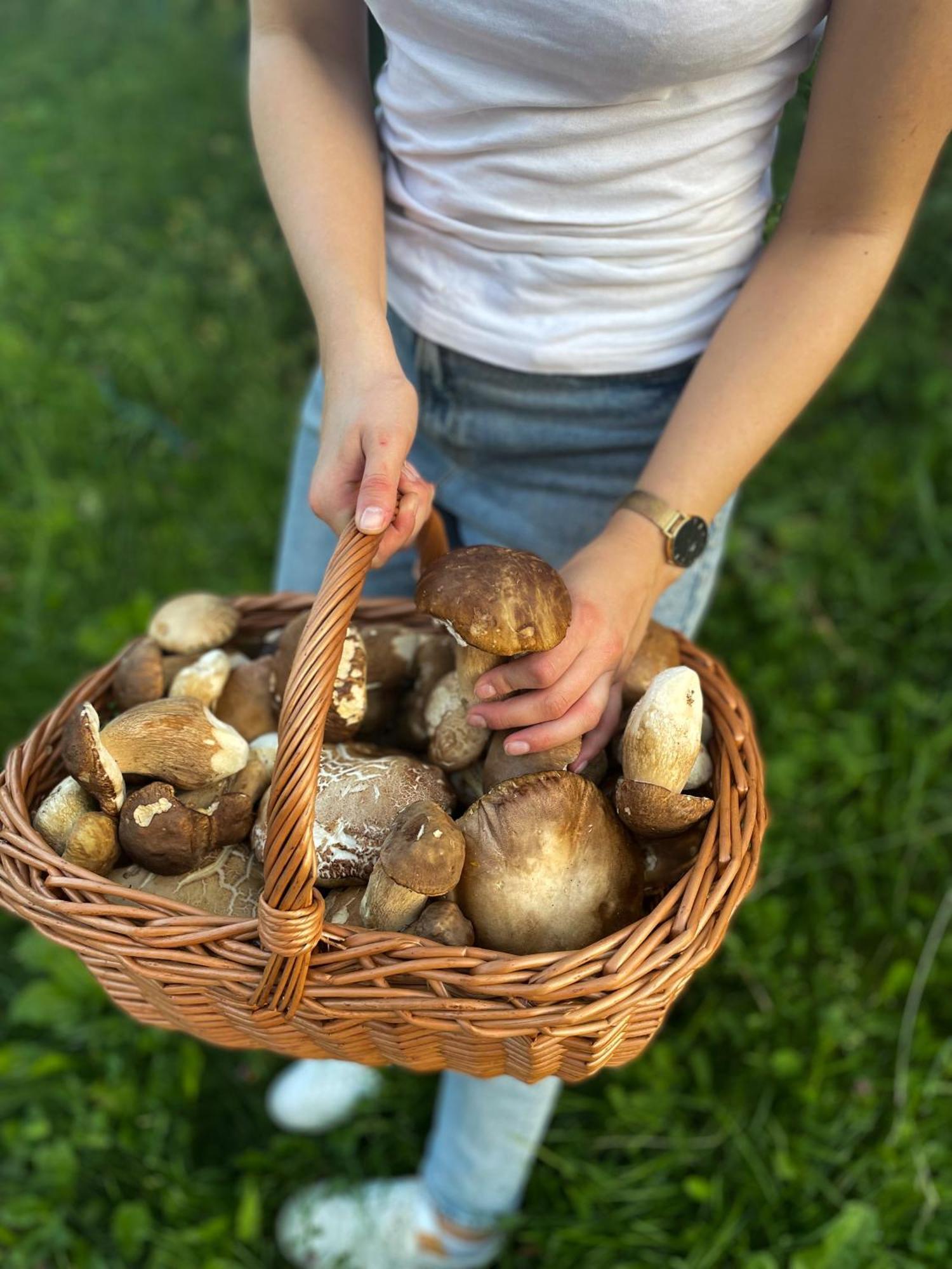 Guesthouse Jurcek Zreče Zewnętrze zdjęcie